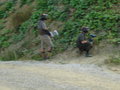 Paintball 27292544