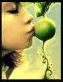 Nice Pictures 3001502