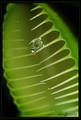 Nice Pictures 3041335