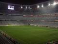 Allianz-Arena 2846490