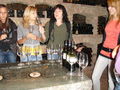 weinseminar in Gols 67269050