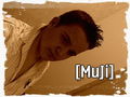 muji_61 - Fotoalbum