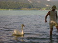 Wolfgangsee 29.07.07 26266604