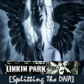 Linkin Park!!!!!!!!!!!!!!!!! 520789