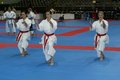 karate 21020955