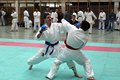 karate 21020993