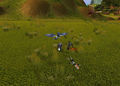 Die Welt von World of Warcraft 70005364