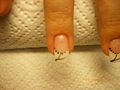 ??????Nails Teil2 ?????? 54991015