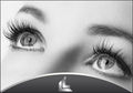 Luxus Lashes  61362228