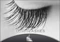 Luxus Lashes  61362230