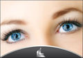 Luxus Lashes  61362233