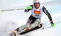 ted ligety 71389924