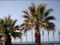 Urlaub Kreta 2005 4365676