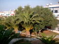 Urlaub Kreta 2005 4365736