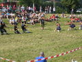 highland games =D 65231325