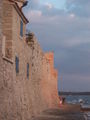 Kroatien/Novigrad 2009 61391011