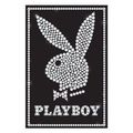 playboy  75286504