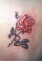 tattoos 4213300