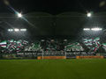 SK Rapid wien 73296846