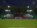 SK Rapid wien 73296849