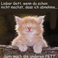 einfach Bilder 71429445