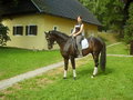 Training mit Orpheus 28101651