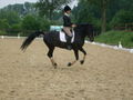 mein FS Turnierpony 38981064