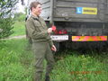 Bundesheer 2005 71832753