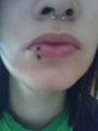 Piercings, Piercings,Piercings (: 73256462