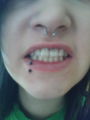 Piercings, Piercings,Piercings (: 73256477