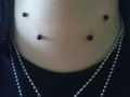 Piercings, Piercings,Piercings (: 73937865