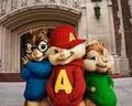 _chipmunks_ - Fotoalbum