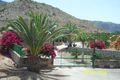 Urlaub 2008 - Gran Canaria 43853802