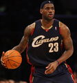 THE KING LEBRON JAMES 73267978