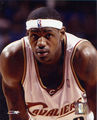 THE KING LEBRON JAMES 73267979