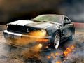 Mustang Gt 500 71507486