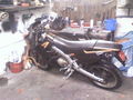 MEIN BIKE 49093534