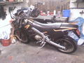 MEIN BIKE 49093540