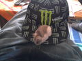 my hamster new mit mein monster kapall 73564700