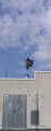 _le parkour 8866866