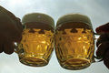 Unsere Biere 72011301