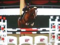 CSI** 14429829