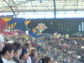 Red Bull Salzburg - Austria Magna Wien 5239386