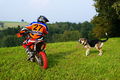 I ban Motorcross fahren! 72310003