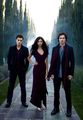 Vampire Diaries ♥ 72447853