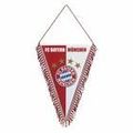 FC Bayern München 72499598