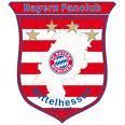 FC Bayern München 72499616