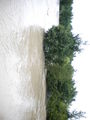 HOCHWASSER 61868914