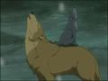 Wolfs Rain 74589916