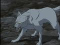 Wolfs Rain 74589920